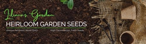 “Bunching Onion Mix” Bunching Onion Seeds – Fast-Growing Bunching Onions – Red, Long White, and Standard Green Onions in Each Pack - Harvest in 50 Days | USA Grown Heirloom Seeds By Liliana's Garden |
