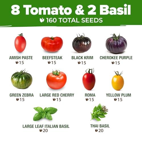 HOME GROWN Heirloom Tomato Seeds for Planting (10pk) w/Basil Seeds, 100% Non-GMO Tomatoes: Cherry, Roma, Beefsteak, Zebra, Yellow Plum, Amish Paste, Cherokee, Krim, Italian Basil, Thai Basil Seed