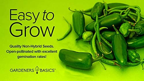 Gardeners Basics, Jalapeno Pepper Seeds for Planting Heirloom Non-GMO Jalapeno Peppers Plant Seeds for Home Garden Vegetables Makes a Great Gift for Gardeners