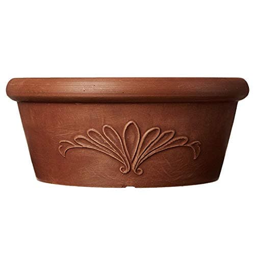 PSW Pot TA30TC Collection Shallow Bulb Pan Planter Dish Low Bowl for Succulents, Bonsai, Fairy Gardens, Herbs, 12-inch, Terra Cotta Color