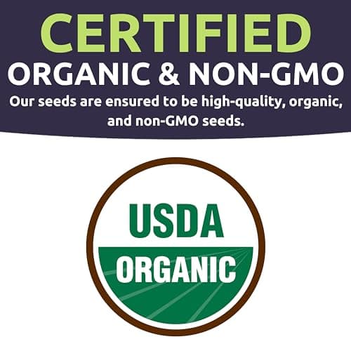 Organic Tomato Seeds Variety Pack - 10 Individual Packs - 2025 Season - Roma, Cherry, Black Krim, Yellow Pear, Pineapple and More! for Indoor & Outdoor Planting (Non-GMO, Certified Organic)