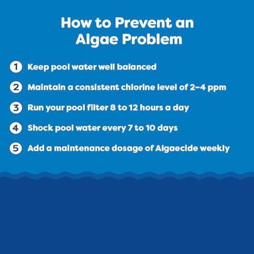 In The Swim Super Algaecide for Above Ground or Inground Swimming Pools – Low Odor, Non-Foaming Preventative for Yellow/Mustard Algae in Swimming Pools - 7.1% Chelated Copper – 1 Quart