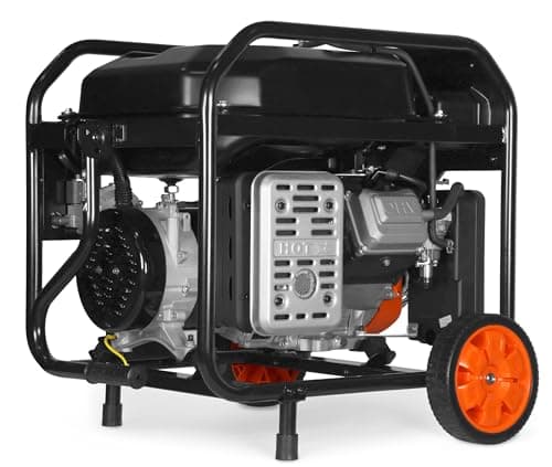 WEN DF8000X 8000-Watt Dual Fuel Electric Start Generator with CO Watchdog