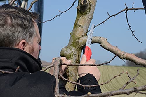 FELCO Folding Saw (F 600) - Classic Tree Pruning Saw with Pull-Stroke Action, Red