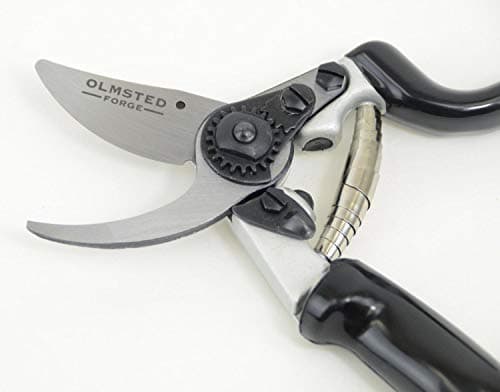 Hand Bypass Pruner with Rotating Handle