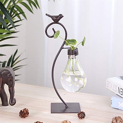 Healifty Plastic Planter Bulb Vase Hydroponics Plants Terrarium Flowerpot Decorative Pottery Planter for Any Occasion, Easy to Do and Fun to Grow