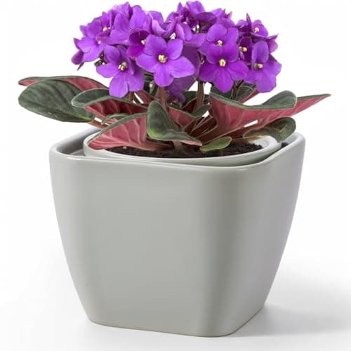 African Violet Pot Self Watering Ceramic Planter Pots, Easy Self Watering Planter for Busy Plant Lovers, Automatically Absorb Appropriate Amount of Water - Plants Not Included