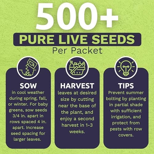 Organic Arugula Seeds - 2 SEED PACKETS! - Over 1,000 Open Pollinated Non-GMO USDA Organic Seeds