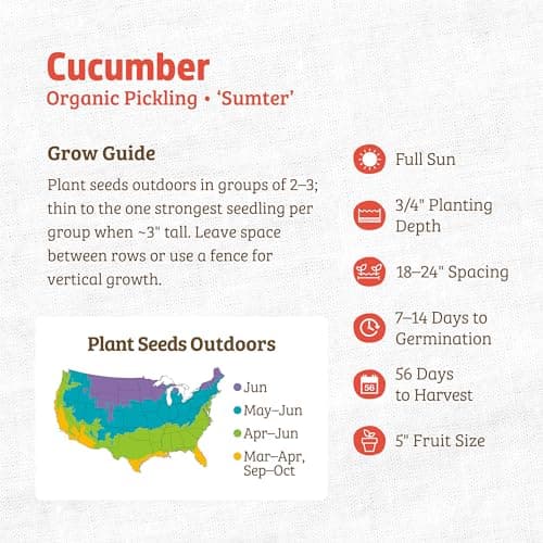 Seed Packet - Cucumber 'Sumter' 1.7g