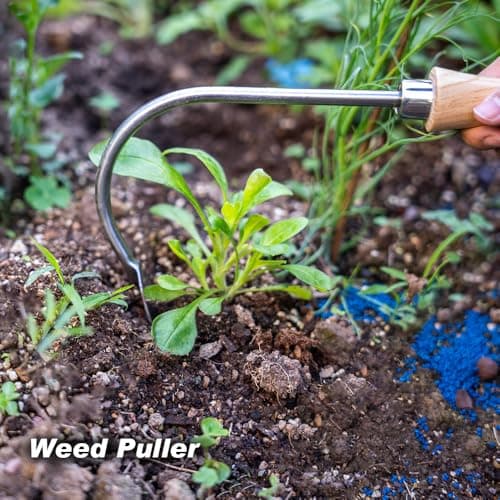 Weed Puller, Crack Weeder Cultivator Garden Hand Tool, Durable Curved Head Hook & Wooden Handle, Garden Digging, Edging, Planting Remover for Patio Lawn Yard Moss Terrace Paving