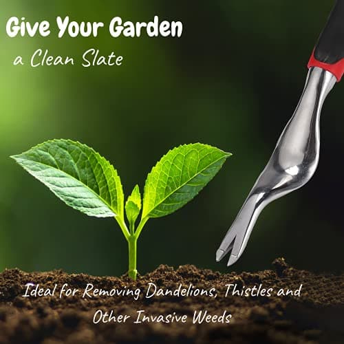 Mr. Pen- Hand Weeder Tool, Weeding Tool for Garden, Hand Weeder, Weeder Tool, Garden Tools for Gardening, Weed Digger, Dandelion Puller, Garden Weeder, Weed Pulling Tool, Weed Puller Tool