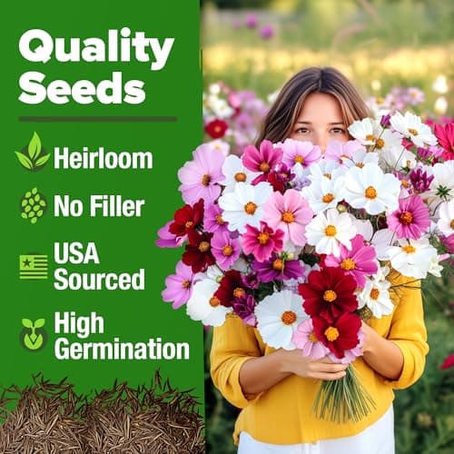 HOME GROWN Cosmos Flower Seeds Bulk Pack for 2025 (1.8 oz) 8,000+ 𝗡𝗢𝗡-𝗚𝗠𝗢 𝗨𝗦𝗔-𝗦𝗢𝗨𝗥𝗖𝗘𝗗 Heirloom Annual Wildflower Seeds – Pollinator-Friendly Mix for Pollinators & Outdoor Gardens