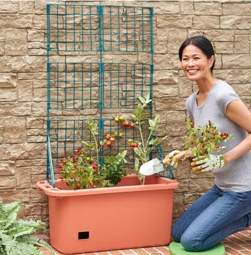 Self Watering Vegetable Planter Box with Trellis on Wheels - Mobile Garden
