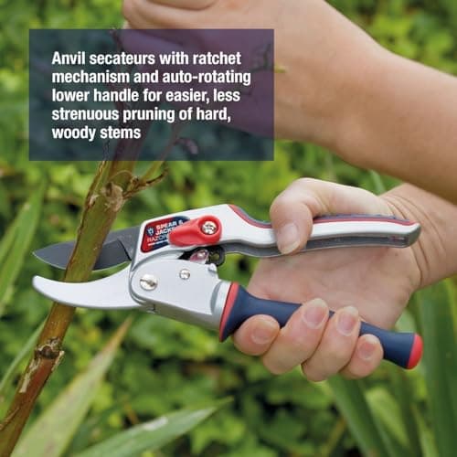 Spear & Jackson 6458RS Razorsharp Ratchet Anvil Pruners / Pruning Shears with Rotating Ergonomic Handle, Blue, 21.5 x 6.5 x 2.5 cm