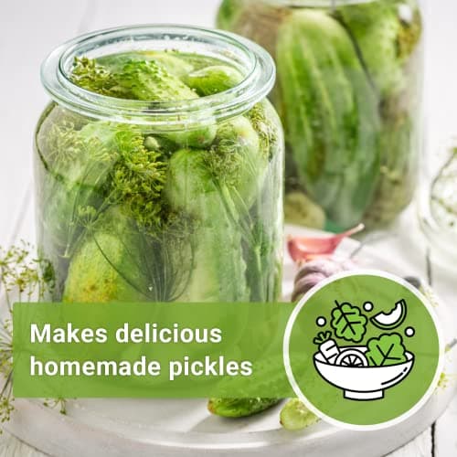 Sow Right Seeds - National Pickling Cucumber Seeds for Planting - Non-GMO Heirloom Packet with Instructions to Plant and Grow a Home Vegetable Garden - Famous Variety for Homemade Pickles (1)