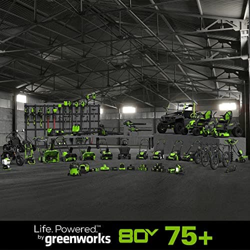 Greenworks 80V 18" Brushless Cordless Chainsaw (Great for Tree Felling, Limbing, Pruning, and Firewood) / 75+ Compatible Tools), Tool Only, Black & Green