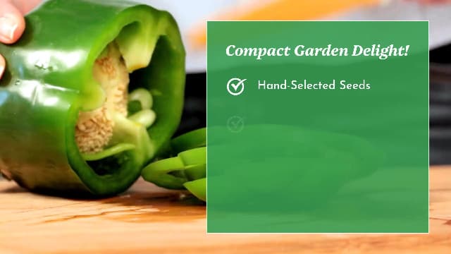 Jalapeño TAM Hot Pepper Seeds for Planting - Over 180 Heirloom Non-GMO Jalapeno Seeds for Planting - Beginner Friendly Jalapeno Pepper Seed Pack for Indoor, Outdoor & Home Garden