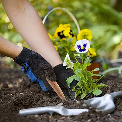 CHGCRAFT 5Pcs Wooden Plant Dibber Wood Garden Dibber seedsDibbler Dibber Bulb Seedling Planting Tools Gardeners Planting Tool for Seedlings