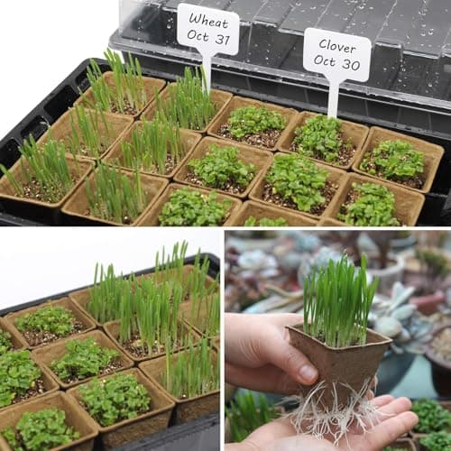 Seed Starter Kit with 100 Peat Pots for Seedlings Seed Starter Tray, 5 Plastic Growing Trays with Water Strainer & 20 Plant Labels Outdoor or Indoor Herb Garden Nursery