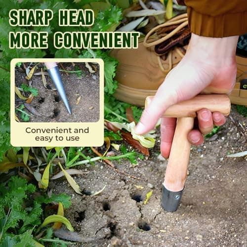 Plant Hole Digger for Planting, Seed Dibber Garden Tool, Hand Dibbler Seed Planter Tool,Bulb Planter Tool, Seeds Transplanting Plants Planting Bulbs, T Wooden Handle - Easy to Drill Holes (3PCS)