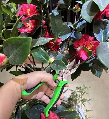 Gardening Tools.Gardening Hand Tools, Gardening Tools, 8 Piece Set Heavy Duty, Gardening Tools Set with Non Slip Rubber, with Garden Kit.