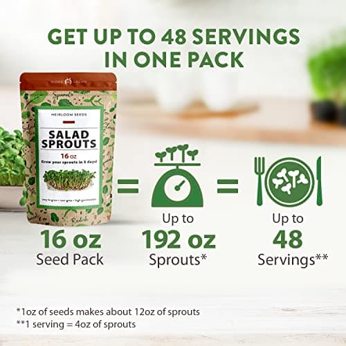 HOME GROWN Microgreens & Sprouts Salad Seeds Mix – 16oz Resealable Mylar Pack – Broccoli, Alfalfa, Radish, Clover – Heirloom 𝗡𝗢𝗡-𝗚𝗠𝗢 Seeds for Healthy Indoor Growing & Juicing