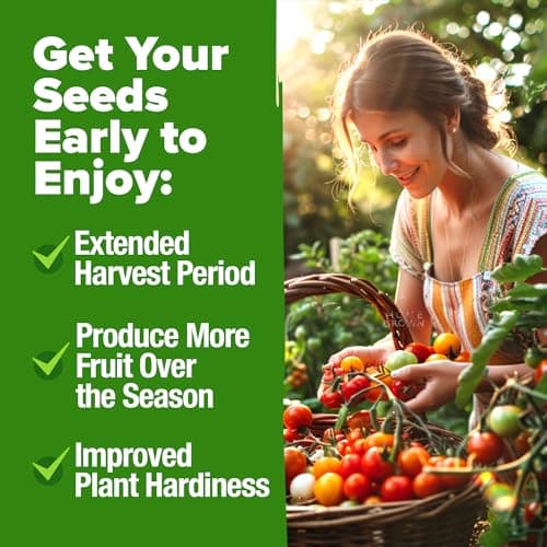 HOME GROWN Heirloom Tomato Seeds for Planting (10pk) w/Basil Seeds, 100% Non-GMO Tomatoes: Cherry, Roma, Beefsteak, Zebra, Yellow Plum, Amish Paste, Cherokee, Krim, Italian Basil, Thai Basil Seed