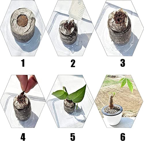 Woohome 150 PCS Peat Pellets Seeding Soil with Plant Label, Nutrient Block Compressed Peat Block, Plastic Plant Tags and Loose Soil Tool for Indoor Outdoor Gardening Seedling Transplanting Growing