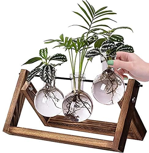 Kingbuy Bulb Forcing Vase Without Side-Hole Plant Propagation Station Air Plant Terrarium for Indoor Hydroponics Water Plants Home Office Decoration Accessories, 2 Pack