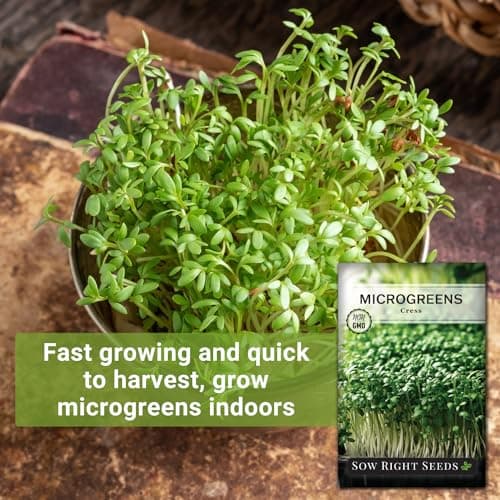 Sow Right Seeds - Cress Microgreen Seed for Growing - Instructions to Quickly Grow Delicious and Healthy Microgreens - Plant Indoors with no Special Equipment - Super Easy Superfood Sprouts