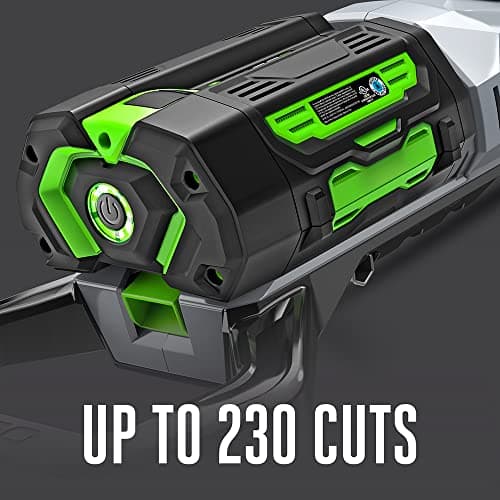 EGO Power+ PPSX2504 Commercial Pole Saw Kit with 5.0Ah Battery and Charger Included Black