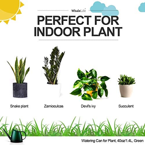 WhaleLife Indoor Watering Can for House Bonsai Plants (1.4L, Green)