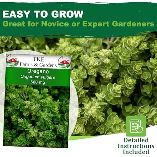 Oregano Seeds for Planting, 3000+ Non-GMO Heirloom Seeds, 500mg, Open Pollinated Perennial Herb, Origanum vulgare, for Indoor & Outdoor Gardens, Qty 1
