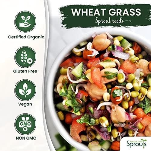 Nature Jims Sprouts Wheatgrass Seeds - 100% Organic Wheat Grass Seed for Sprouting - Cat Grass Planter Seeds, Rich in Vitamins, Fiber and Minerals - Non-GMO, Healthy Wheatgrass Sprout Growing Seed