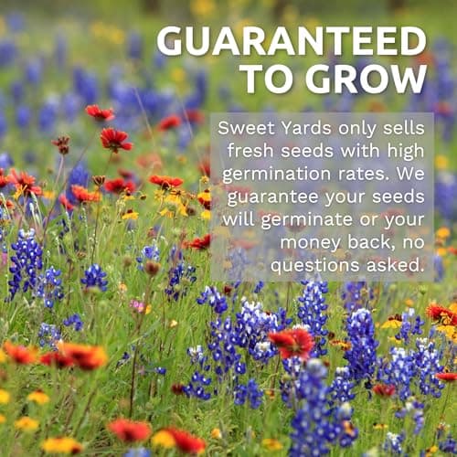 Zinnia Cut & Come Again Mix - Large 1 Ounce Packet - 4,000 Flower Seeds for Planting - Zinnia elegans