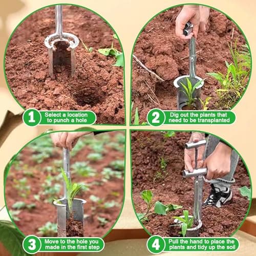 2 Pack Bulb Planter Tool Stainless Steel, Plant and Fruit Tree Seedling Transplanter, Bulb Transplanter Tool for Digging Holes to Transplanting