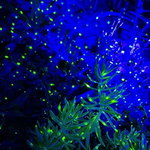 Firefly Garden Lights Star Projector Laser Christmas Lights for Garden Lawns Courtyard