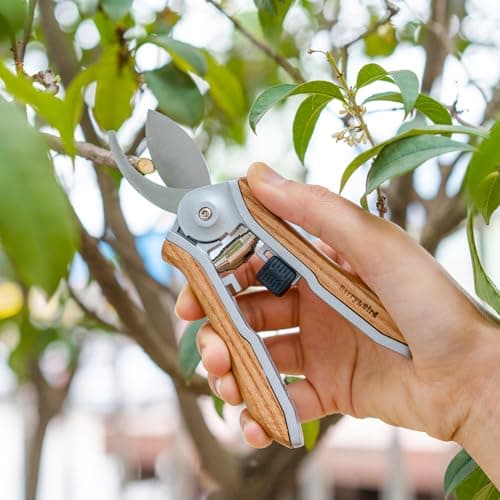 Mini Pruning Shears for Gardening Curved Blades Hand Pruners with Wooden Handle Garden Scissors Snips Stainless Steel Trimming Small Clippers Bonsai Compact Size Sheaering Tool