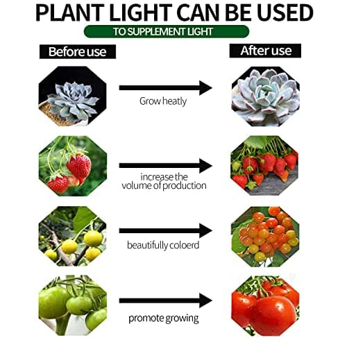 Espird Outdoor LED Grow Lights for Greenhouse 6-Light Waterproof String Grow Light, Full Spectrum LED Plant Grow Light Lamp, Waterproof Greenhouse Grow Lights for Seedling, Veg, Flower