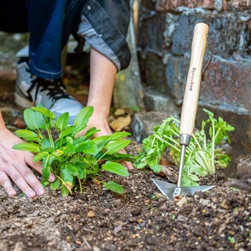 Triangle Hand Hoe, 15.2'' Winged Weeder Garden Hoes with Short Wood Handle, Gardener Stainless Steel Warren Hoe, Garden Weeder Hoe Tool for Quickly Weeding, Edging and Gardening Tools