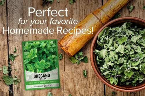Gardeners Basics, Oregano Seeds for Planting Heirloom Non-GMO Herb Plant Seeds for Home Herb Garden Makes a Great Gift for Gardening