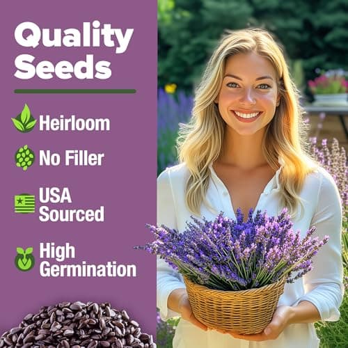 HOME GROWN 𝗣𝗥𝗘𝗠𝗜𝗨𝗠 English Lavender Seeds 2 Pack,3000 𝗡𝗢𝗡-𝗚𝗠𝗢,𝗨𝗦𝗔-𝗦𝗢𝗨𝗥𝗖𝗘𝗗 Wildflower Seed for Planting Indoor/Outdoor,High Germination,Plant Flower Seeds(Lavandula antustifolia)