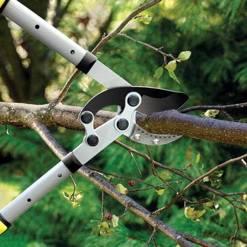 JARDINEER 3PCS Extendable Anvil Loppers Shears Set, Branch Cutters Heavy Duty with 2 Inch Clean Cut Capacity, 28-38.5" Telescopic Tree Trimming Long Handle with SK5 Spare Blade
