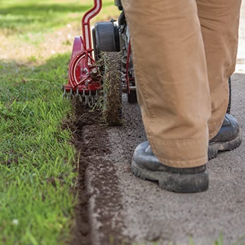 EARTHQUAKE 41273 79cc 4-Cycle Walk-Behind Edger, Red/Black