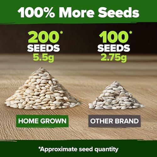 HOME GROWN Organic Cucumber Seeds - 200 Marketmore Heirloom 𝗡𝗢𝗡-𝗚𝗠𝗢 𝗨𝗦𝗔 Vegetable Seeds for Planting in Trellises,Raised Beds,Containers - Beginners and Experienced Gardeners(Cucumis sativus)