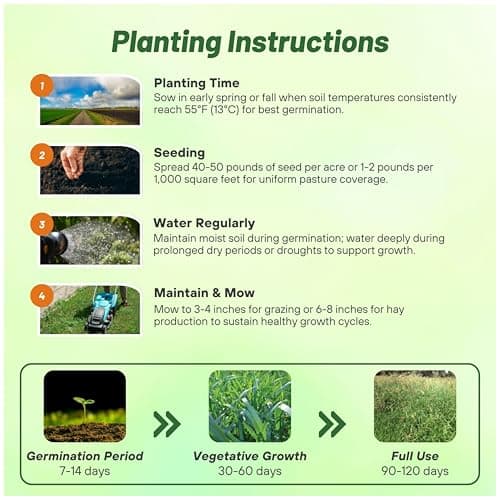 Outsidepride Horse Choice Pasture & Livestock Grass Seed Mix - 25 Lbs Perennial, Drought Tolerant, Cold Hardy, & High Yield Lawn Grass Seeds for Grazing, Hay, Silage, & Greenchop