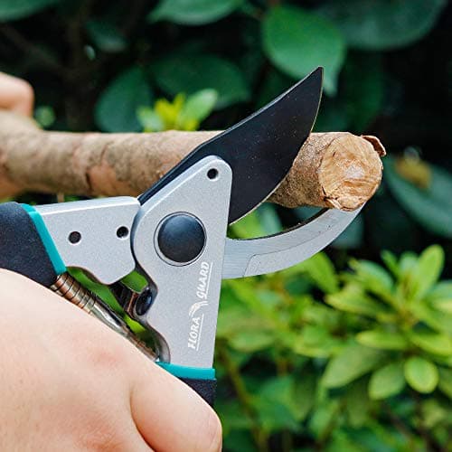 Flora Guard Pruning Shears 8.6" Bypass Garden Shears, Professional Ultra Sharp Sk5 Steel Garden Clippers, Heavy Duty Durable Ergonomic handle Plant Cutting Scissors Tools, Yard Hedge Branch Trimmer