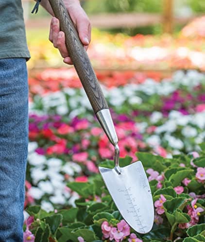 Burpee 26" Stainless Steel Durable Trowel with 20" Long Handle, 6" Shovel Head | Leather Strap for Hanging Storage | 10 Year Garden Tool Warranty