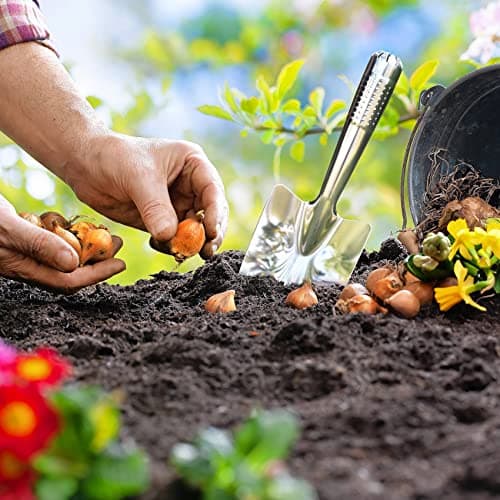 Garden Shovel Hand Trowel, Stainless Steel Gardening Hand Tools, Spade Shovel for Planting, Transplanting, Weeding, Digging