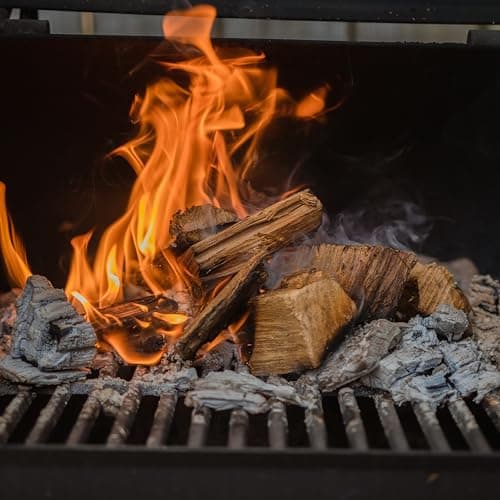 Fire & Flavor Premium All Natural Wood Chunk Bundle for Smokers - Wood Chunks for Smoking - Smoker Wood Chunks - Smoker Accessories Gifts for Men and Women - Oak, Apple, Hickory